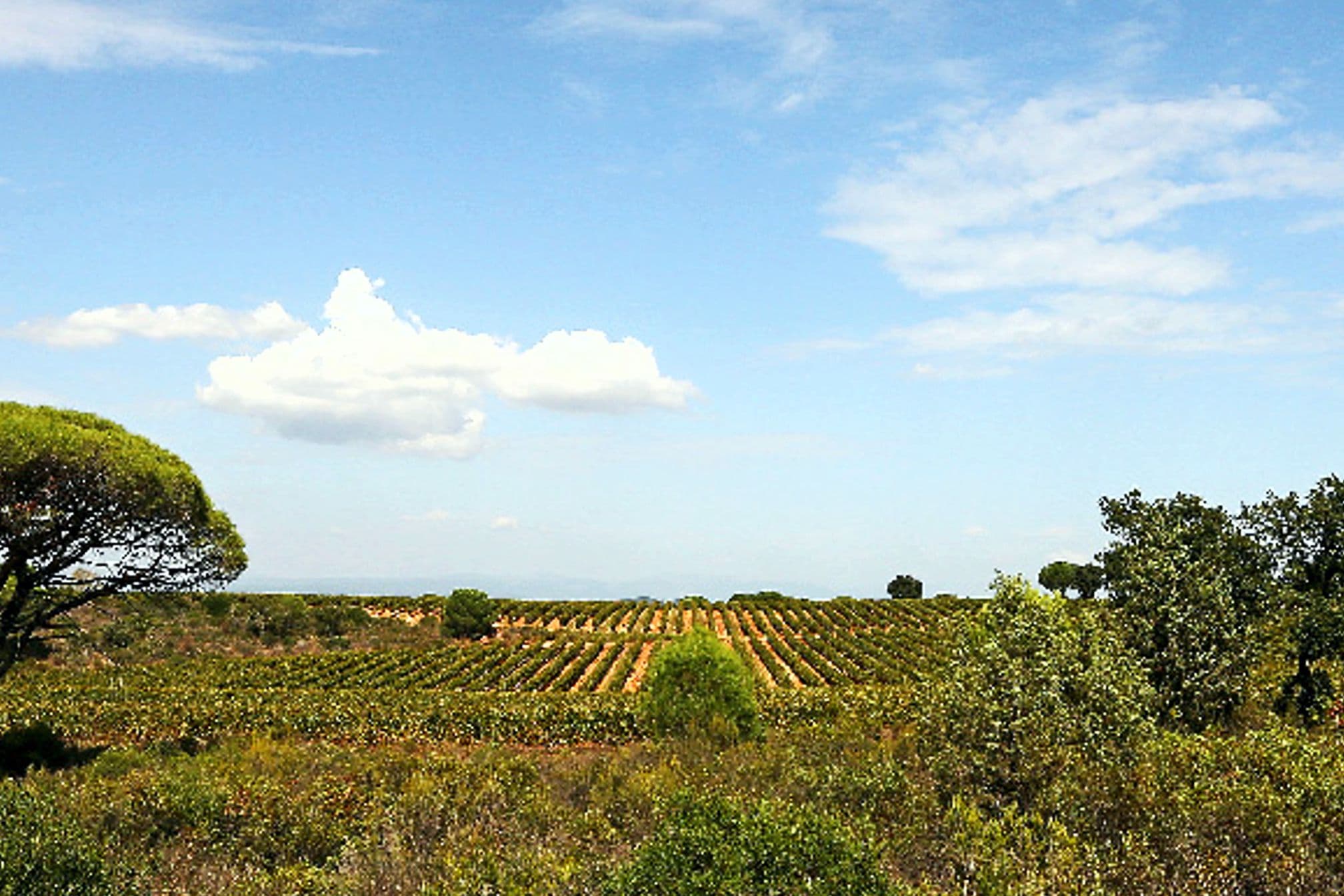 image Château des Bertrands