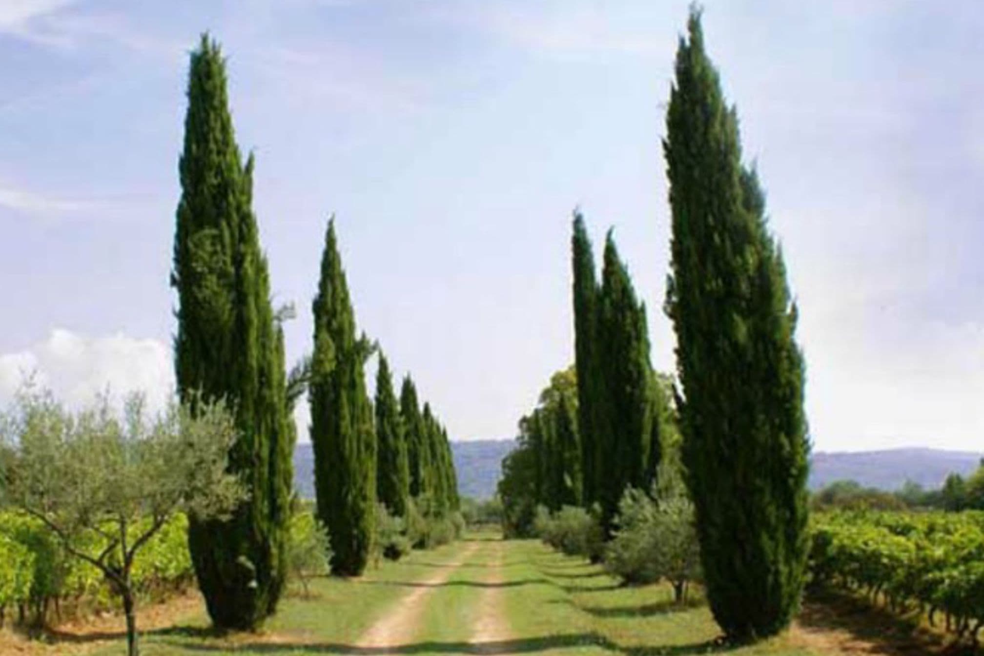 image Domaine de Valcolombe