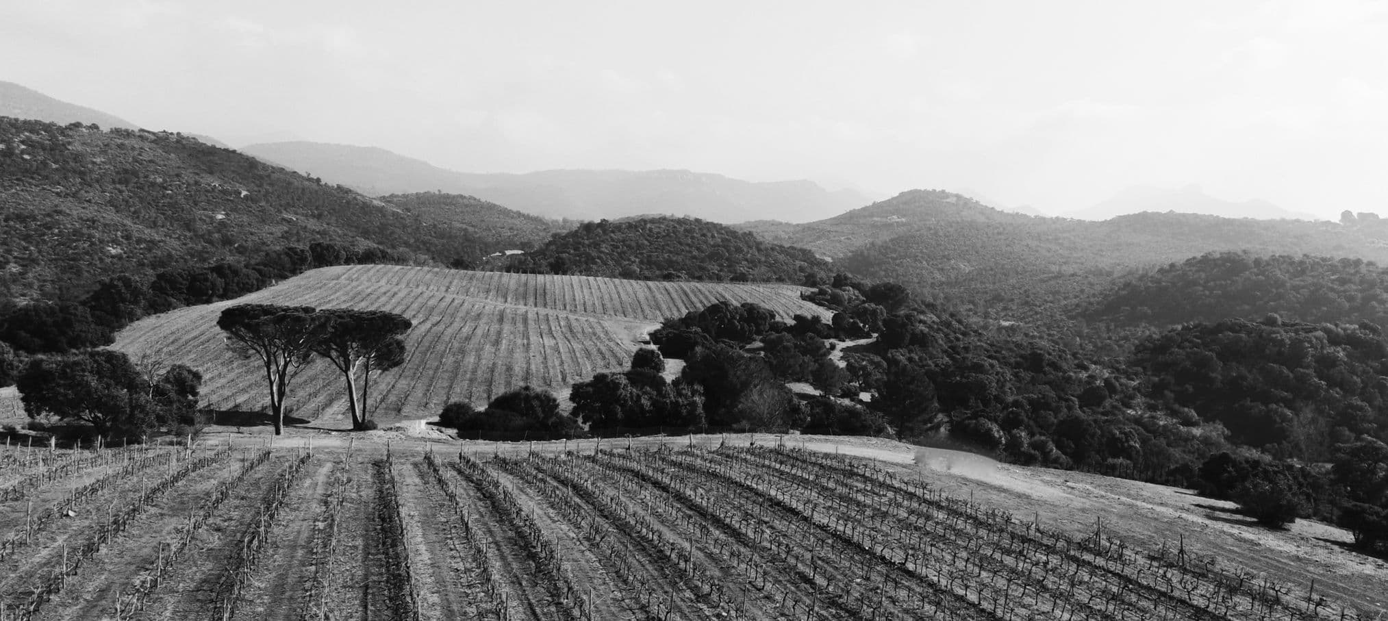 photo5.jpg